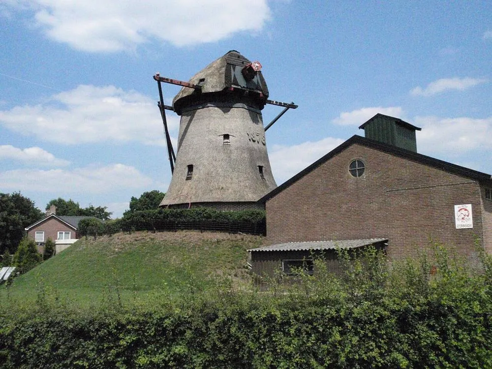 Zuidwolde: Molen De Vlijt Zuidwolde 2
